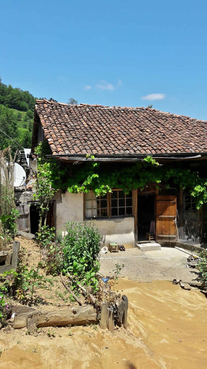 village house..