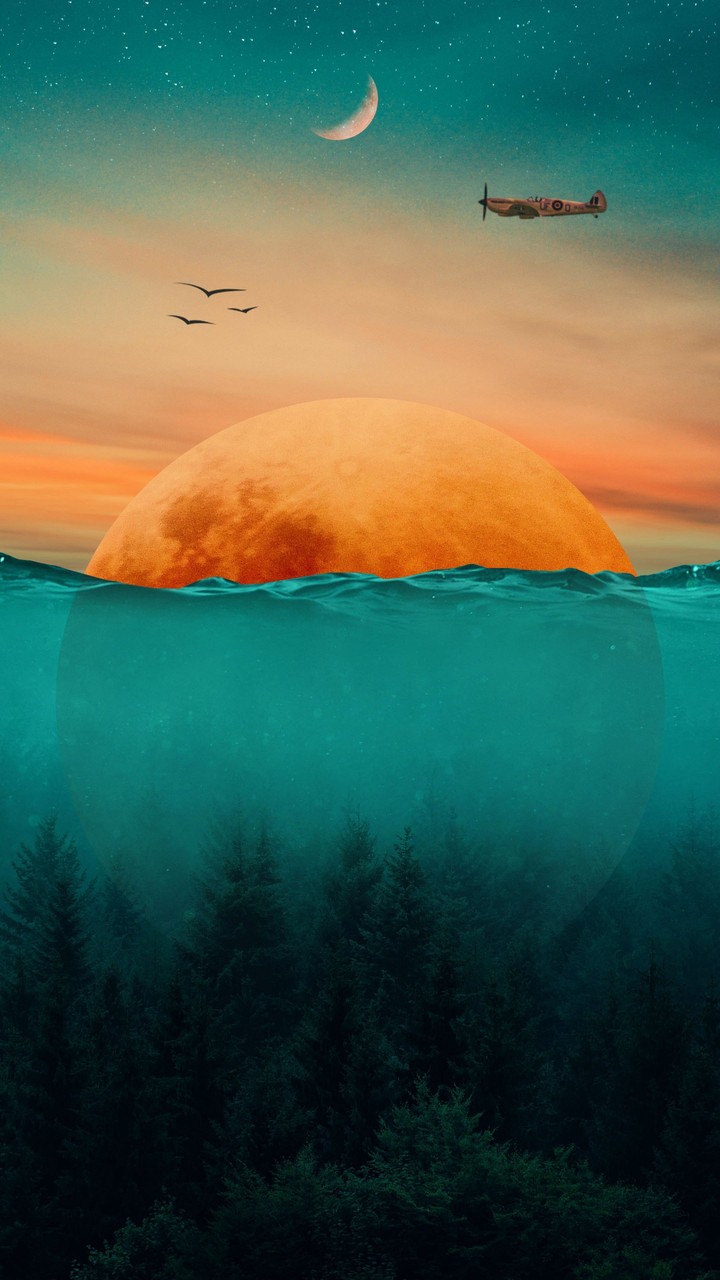 Dreamy view