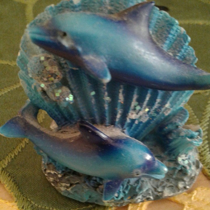 Dolphins...