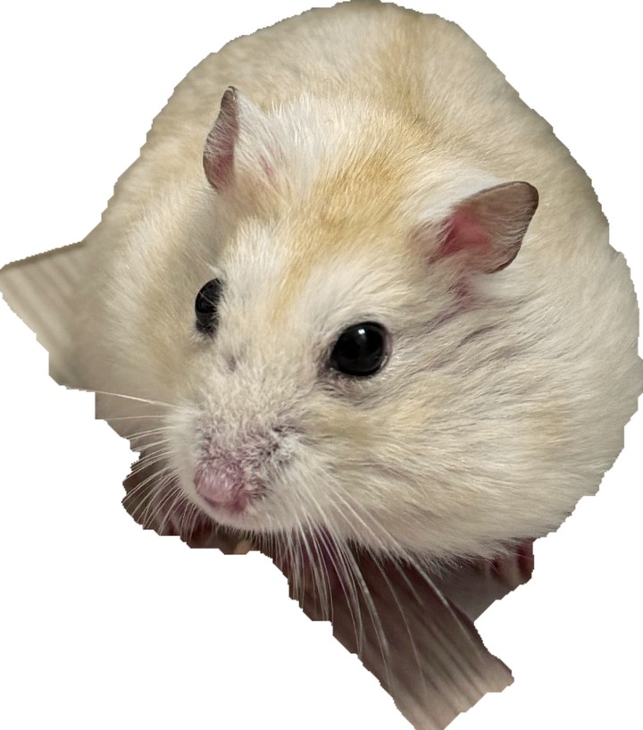 .