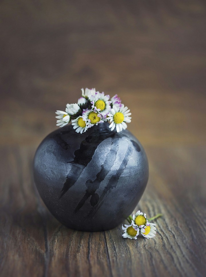 pottery&daisy