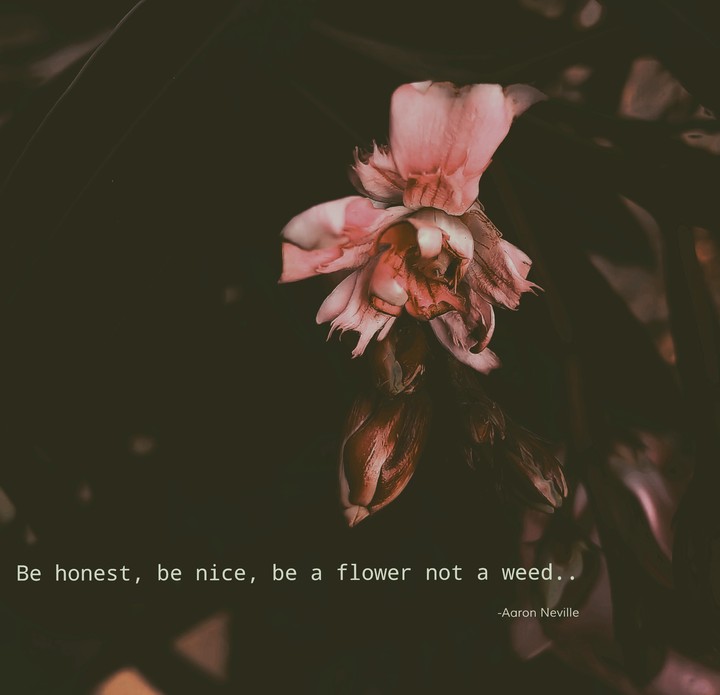flower love