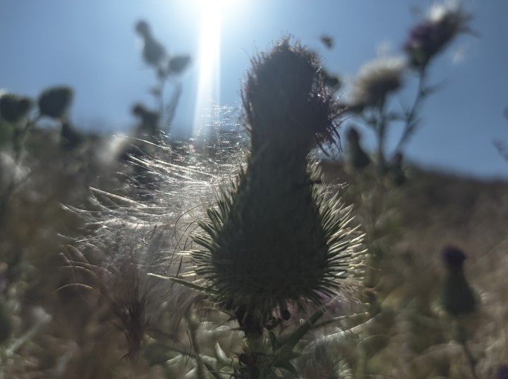 #Україна #літо #summer   2021
