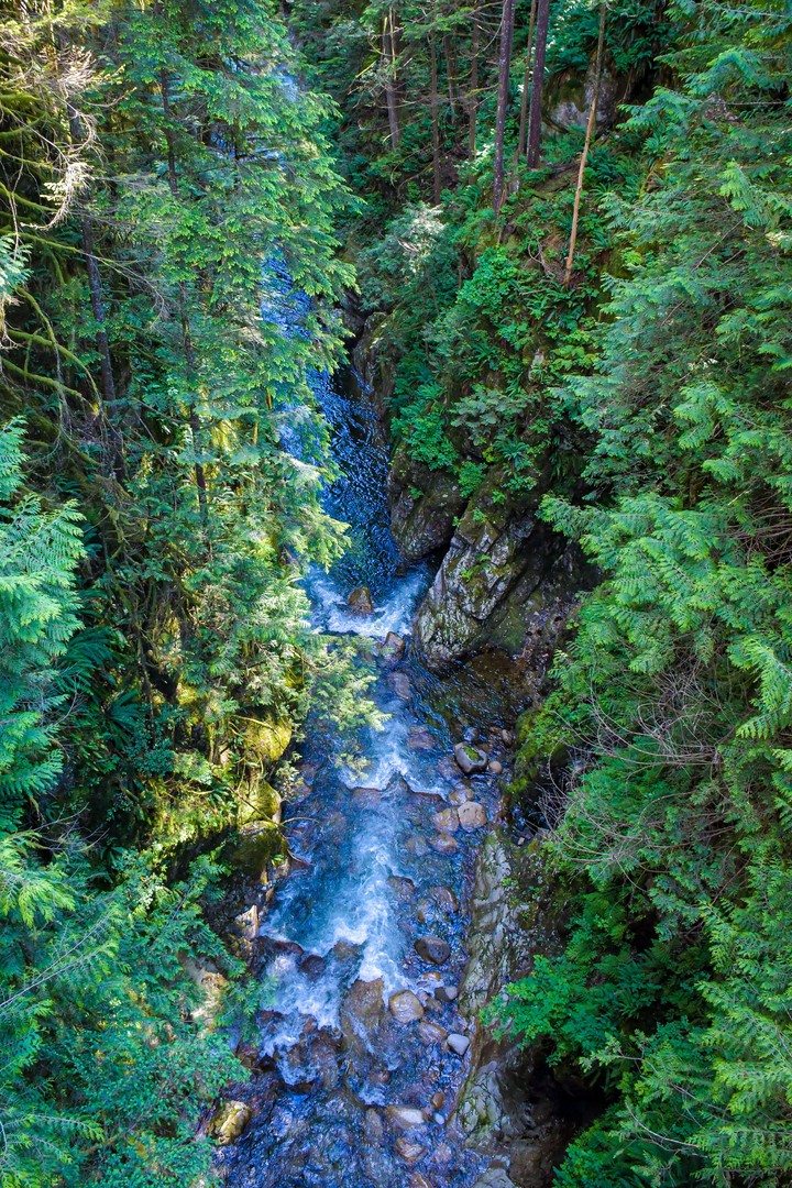 Lynn Canyon, British Columbia, Canada