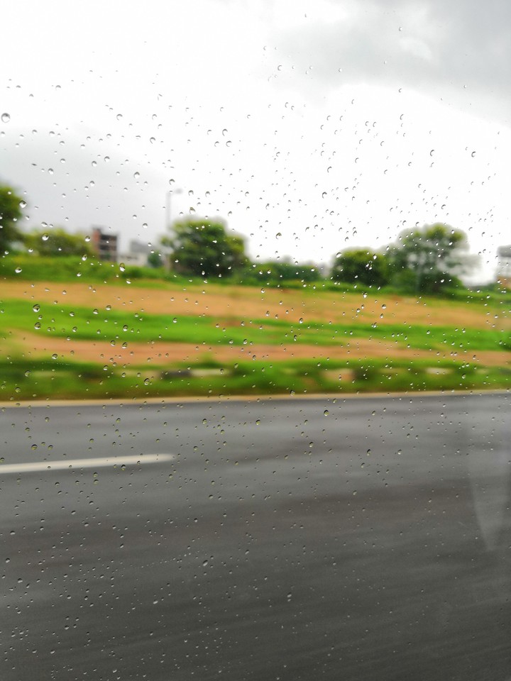 rain droplets