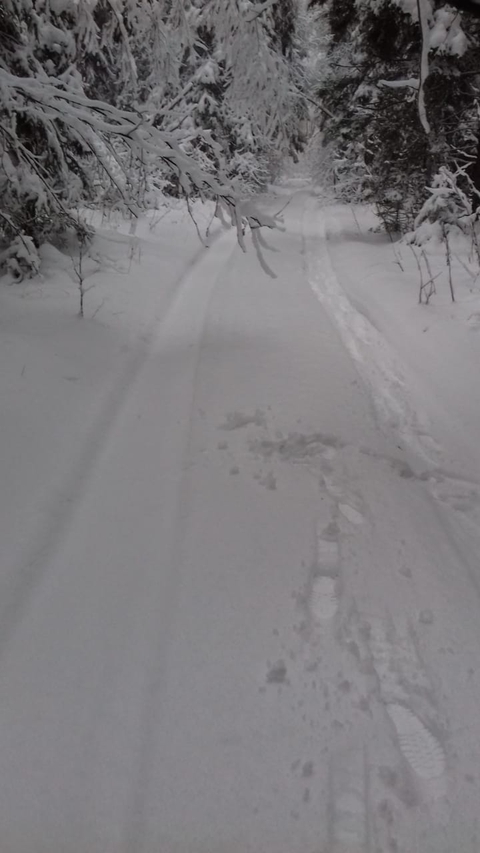 красота дачной природы