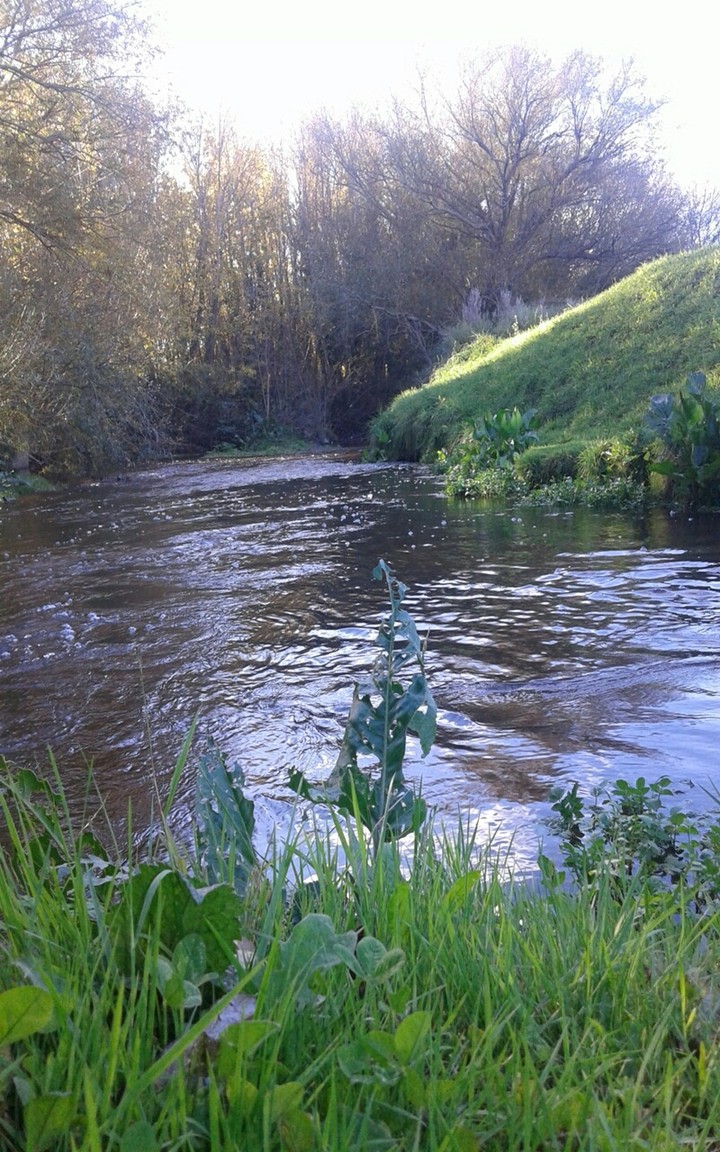 Pillauinco