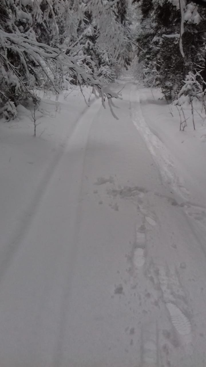 красота дачной природы