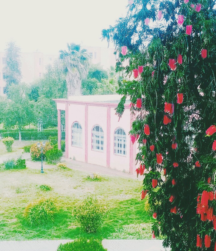 حضارة و طبيعة