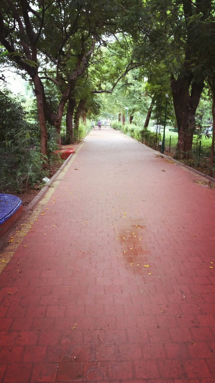 path is like journey. ... no end just going on