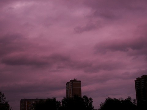 like a pink apocalypse