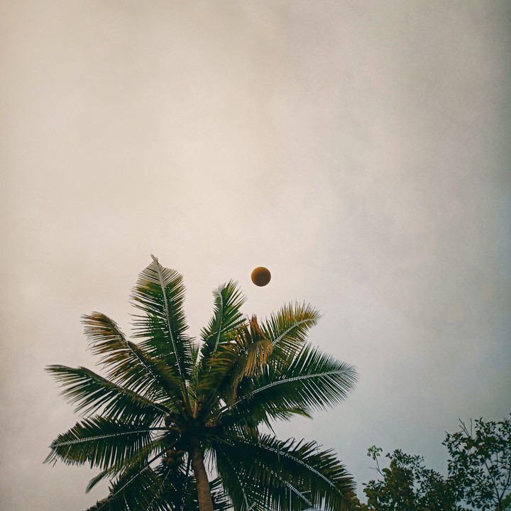 ball