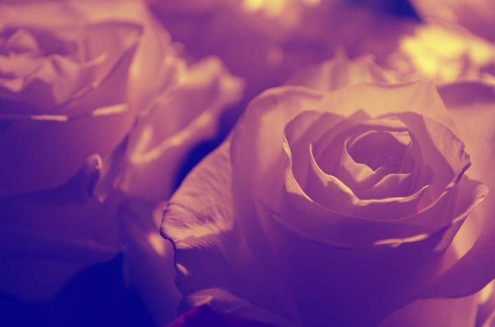Purity