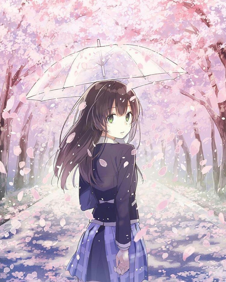 sakura