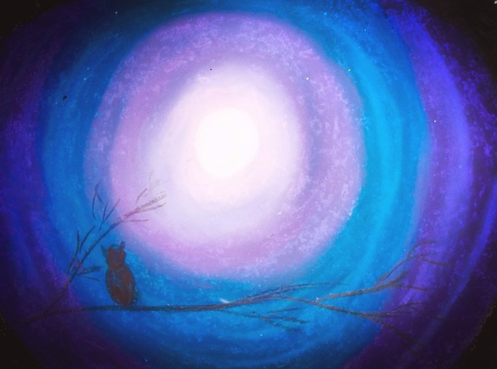 The Owl City