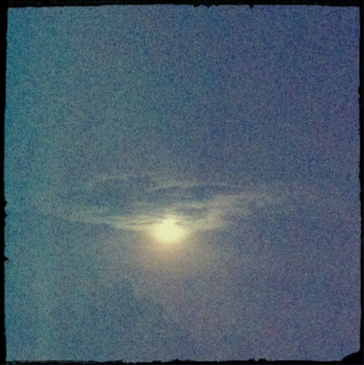 moonlight