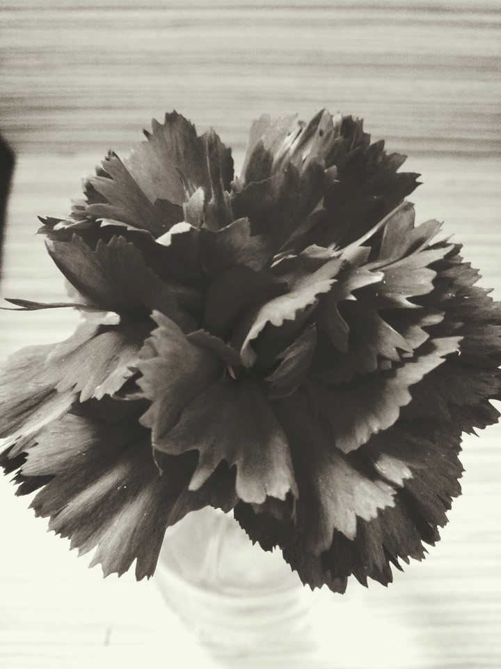 black and white