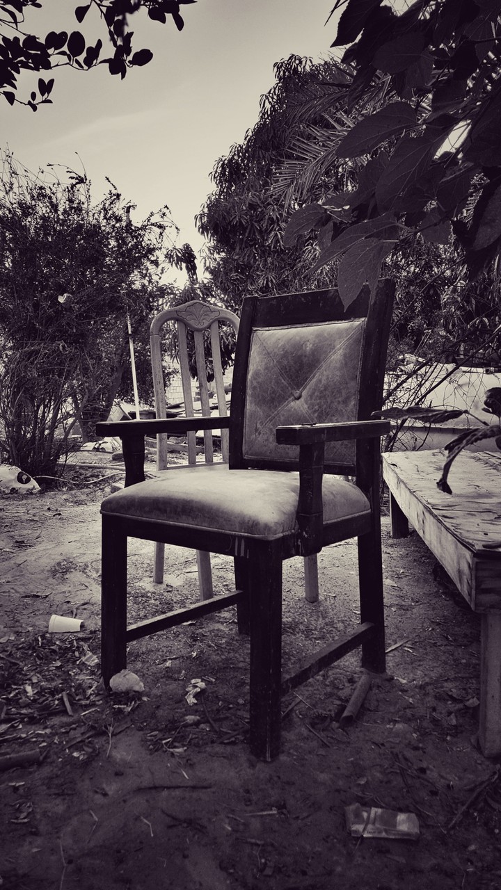 The Classic Chair