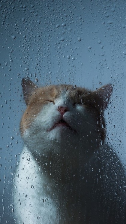 ♥