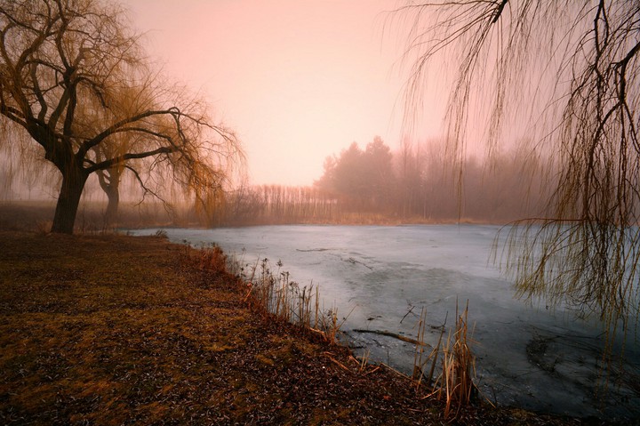 Frozen Lake In Fairy Land.