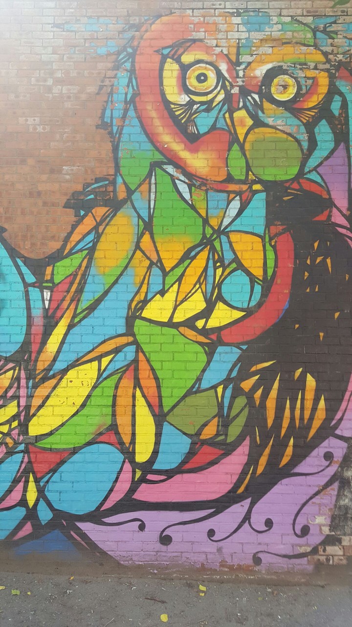 multi color owl