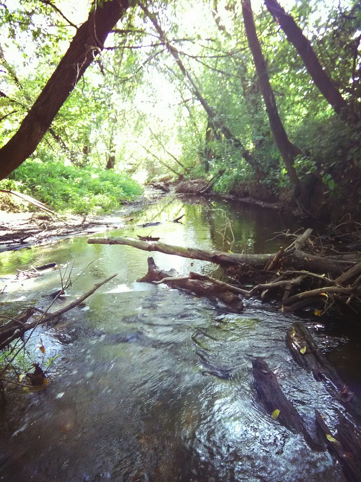 Nice river ✨