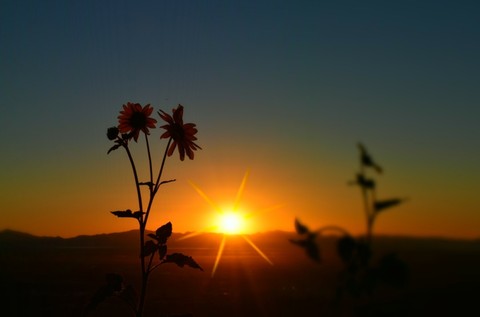 Happy morning.....