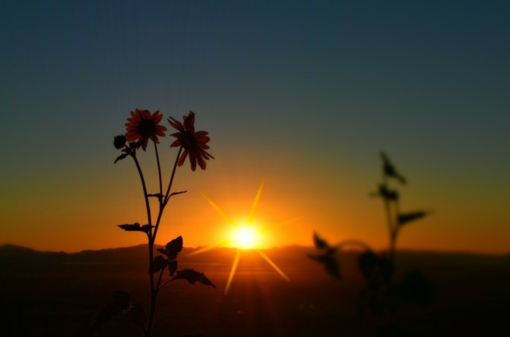 Happy morning.....