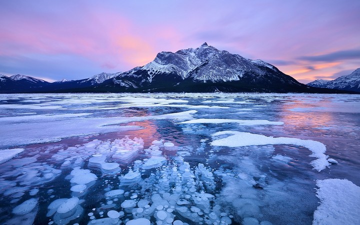 hielo