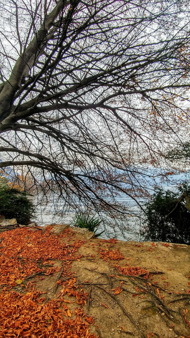 Autumn