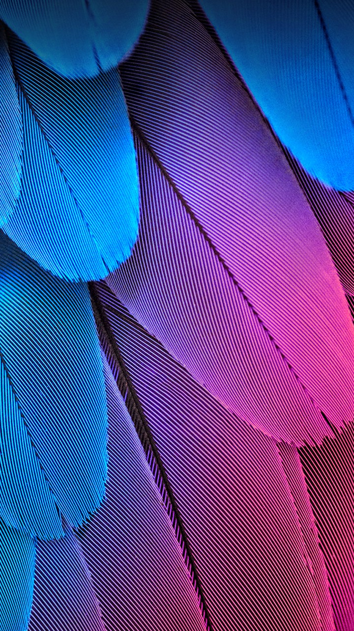 colourful