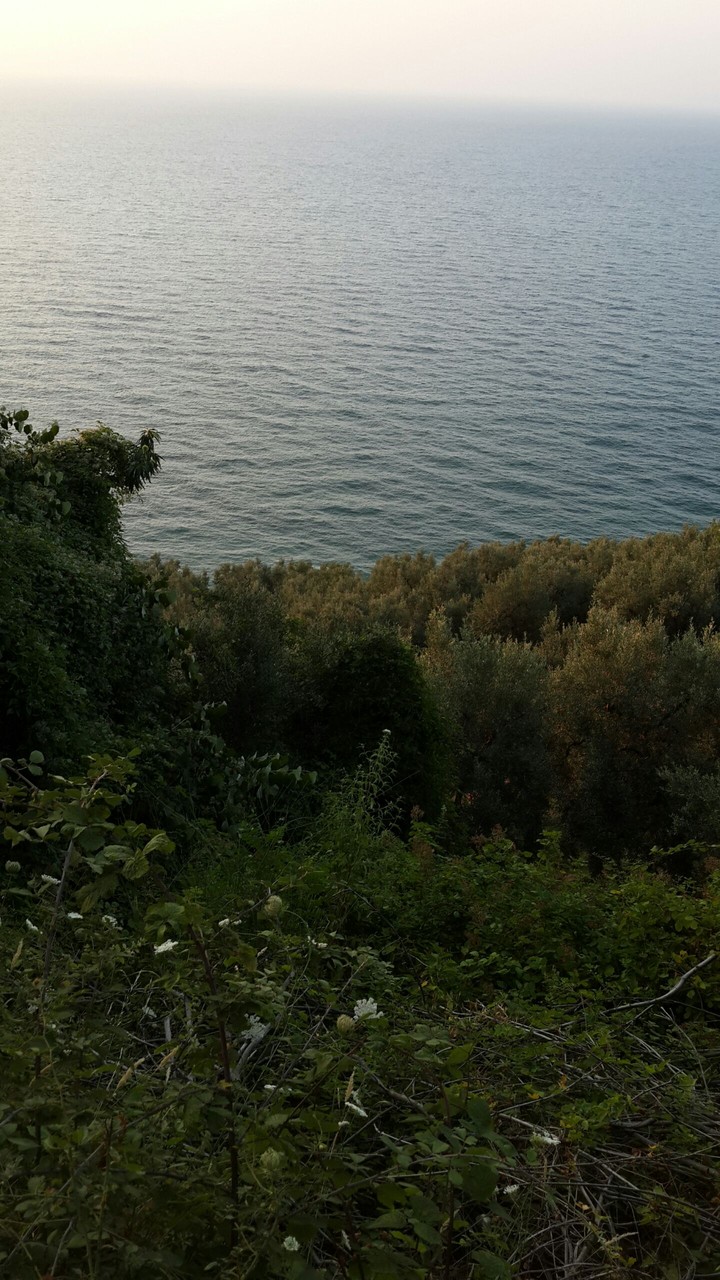 doğal güzellik