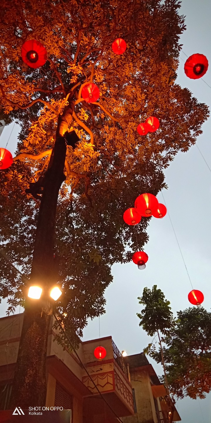 Lamps