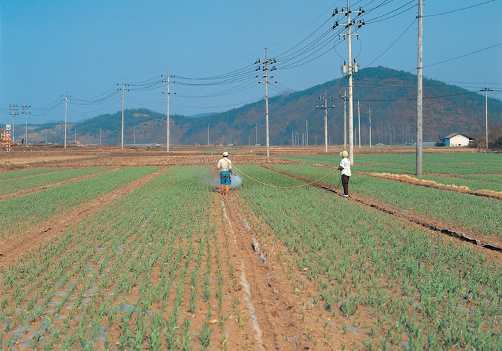 산업