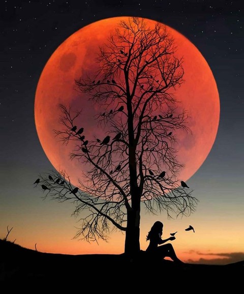 amazing pictures