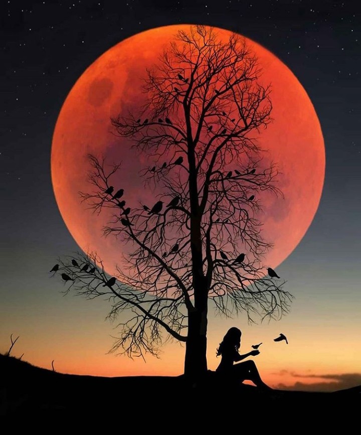 amazing pictures