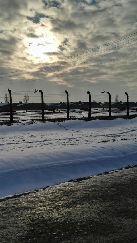 Blocco femminile di Birkenau