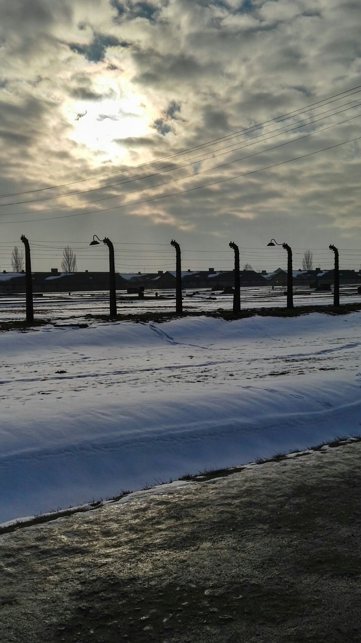 Blocco femminile di Birkenau