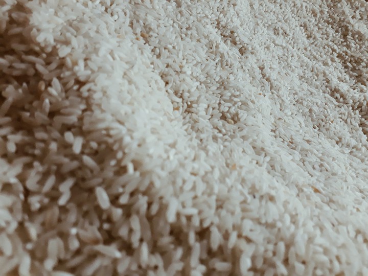 Rice