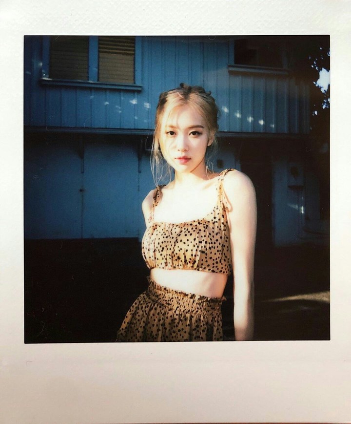 ROSE HAWAI