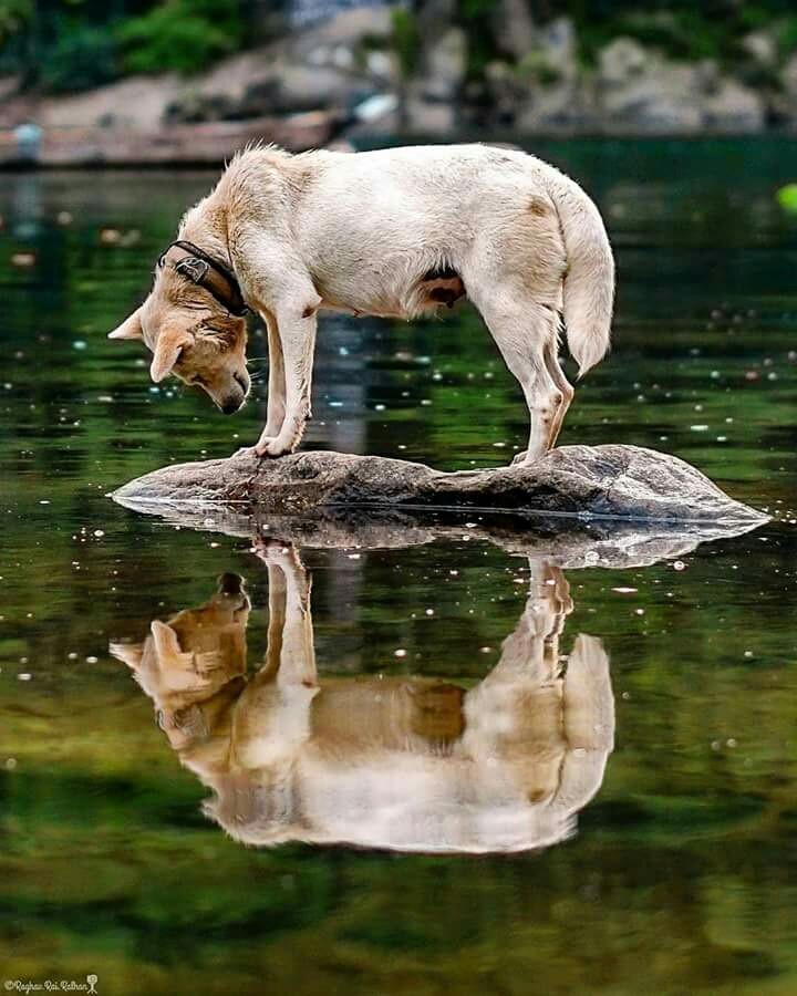 the only prison can change ur life is 1 u see in Reflection