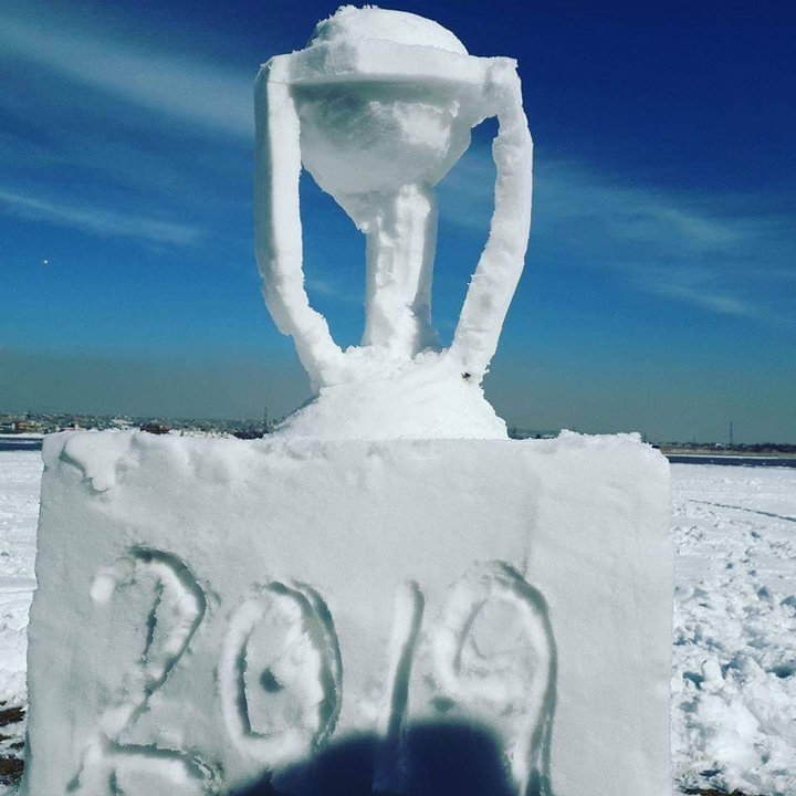 ICC world cup 2019...