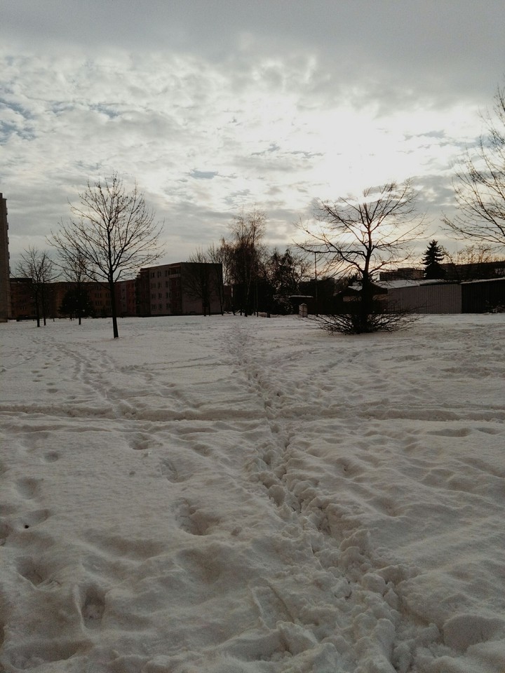 Snow