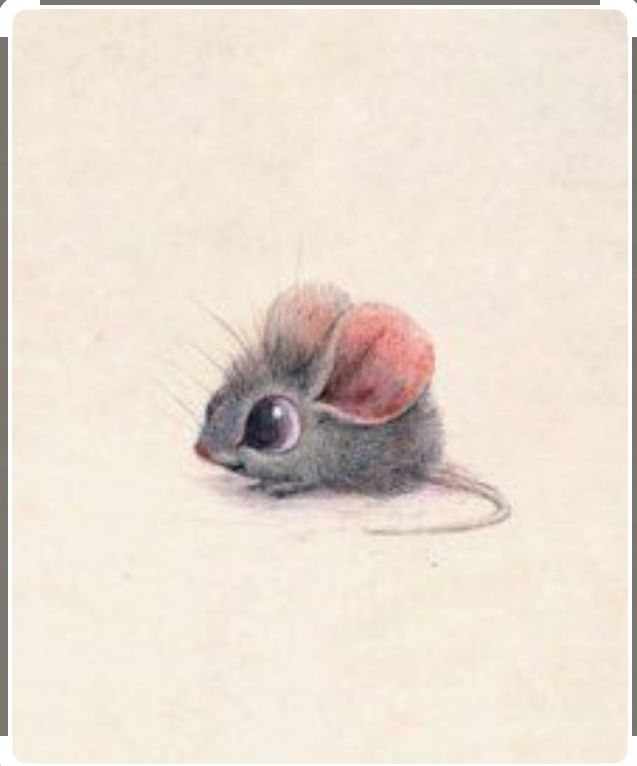 Cute little mouse