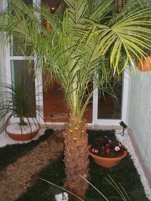 Bello ???