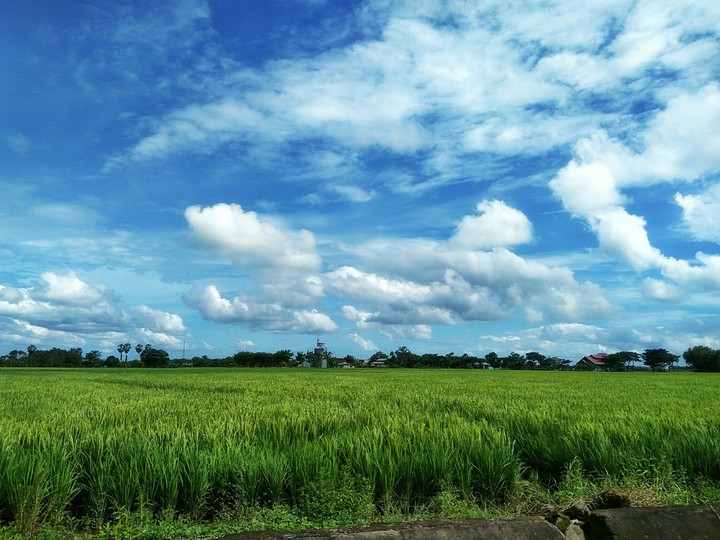 newday