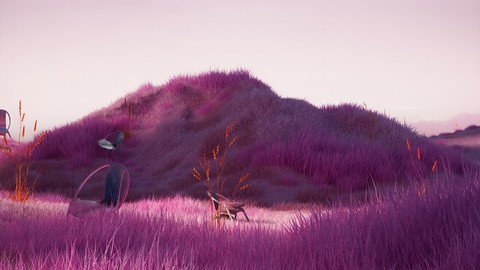 hình nền pink, prairie