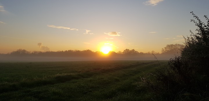 the sun