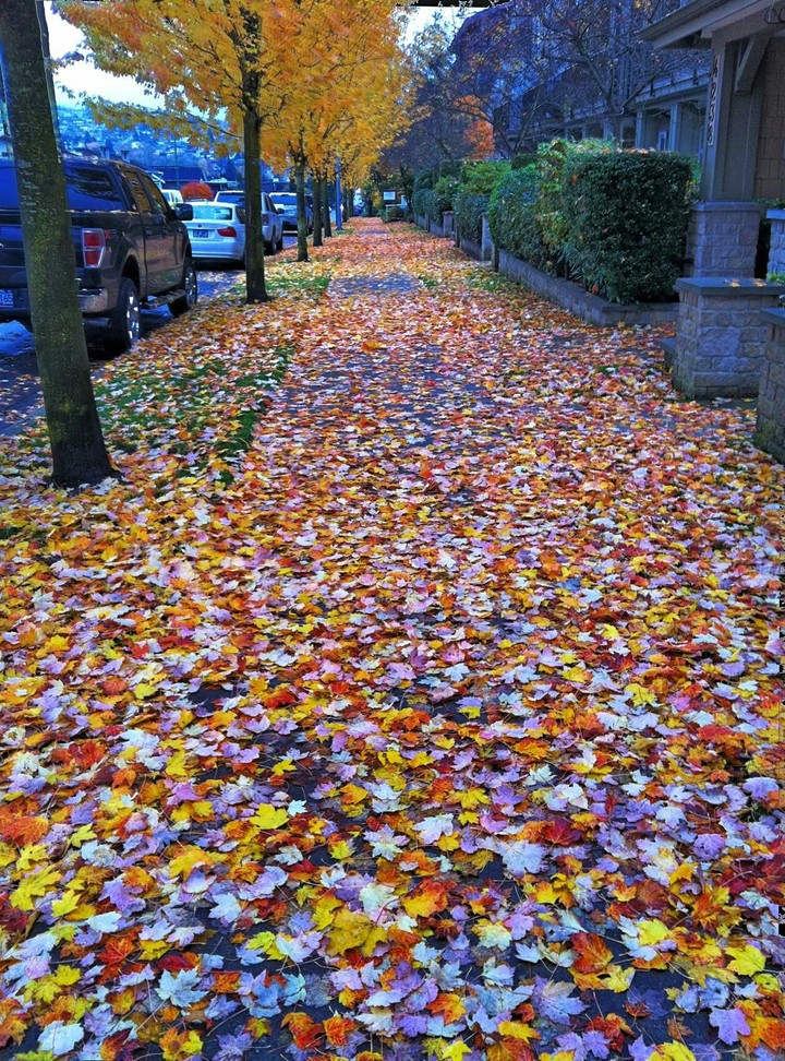 Color Road
