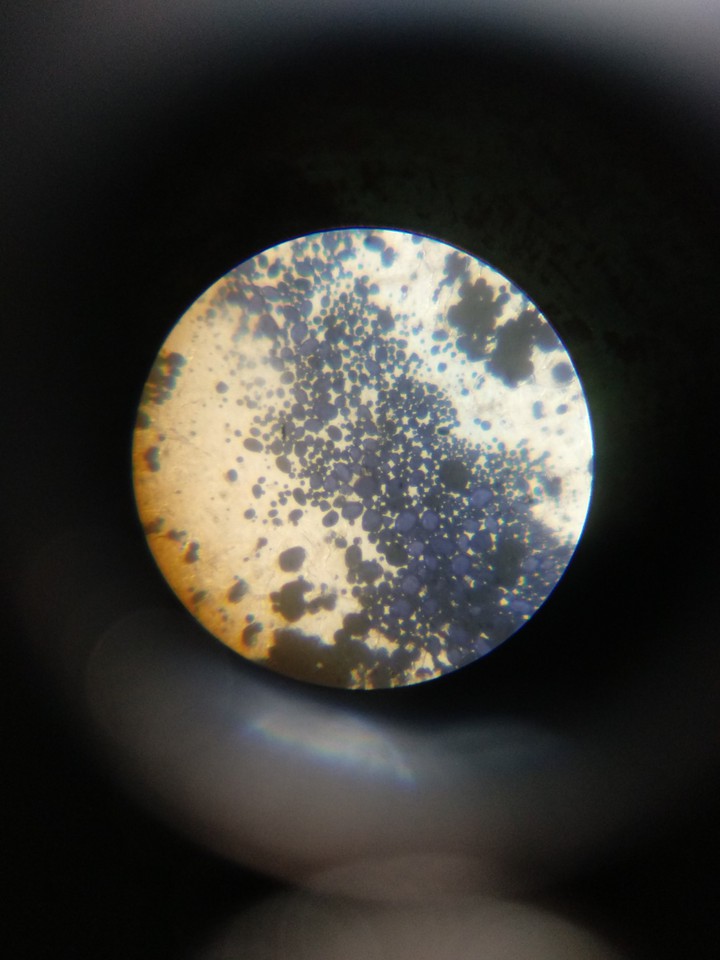 Biology